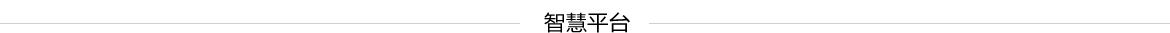 智慧平臺(tái)